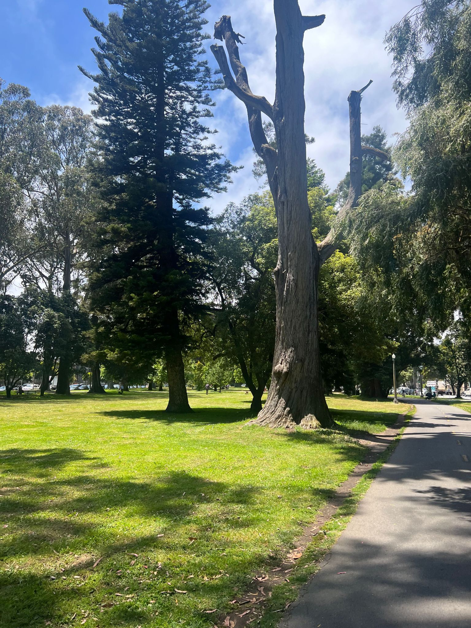 Image of The Panhandle